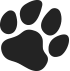 small dog paw